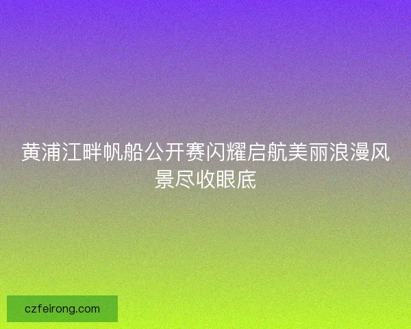 黄浦江畔帆船公开赛闪耀启航美丽浪漫风景尽收眼底