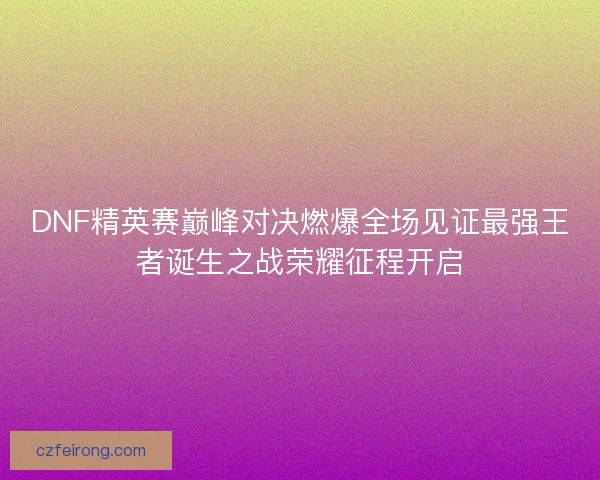 DNF精英赛巅峰对决燃爆全场见证最强王者诞生之战荣耀征程开启