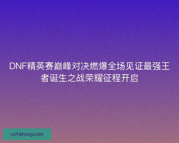 DNF精英赛巅峰对决燃爆全场见证最强王者诞生之战荣耀征程开启